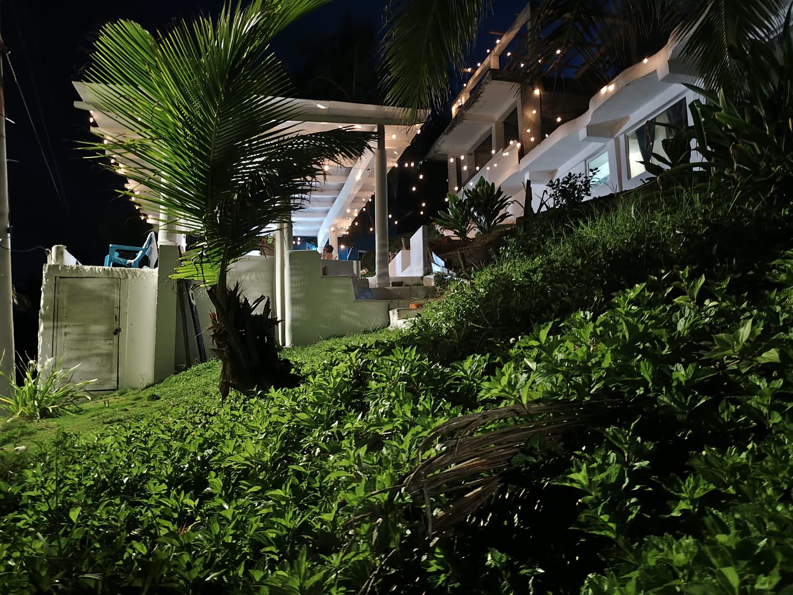 Villa entre palmeras de noche